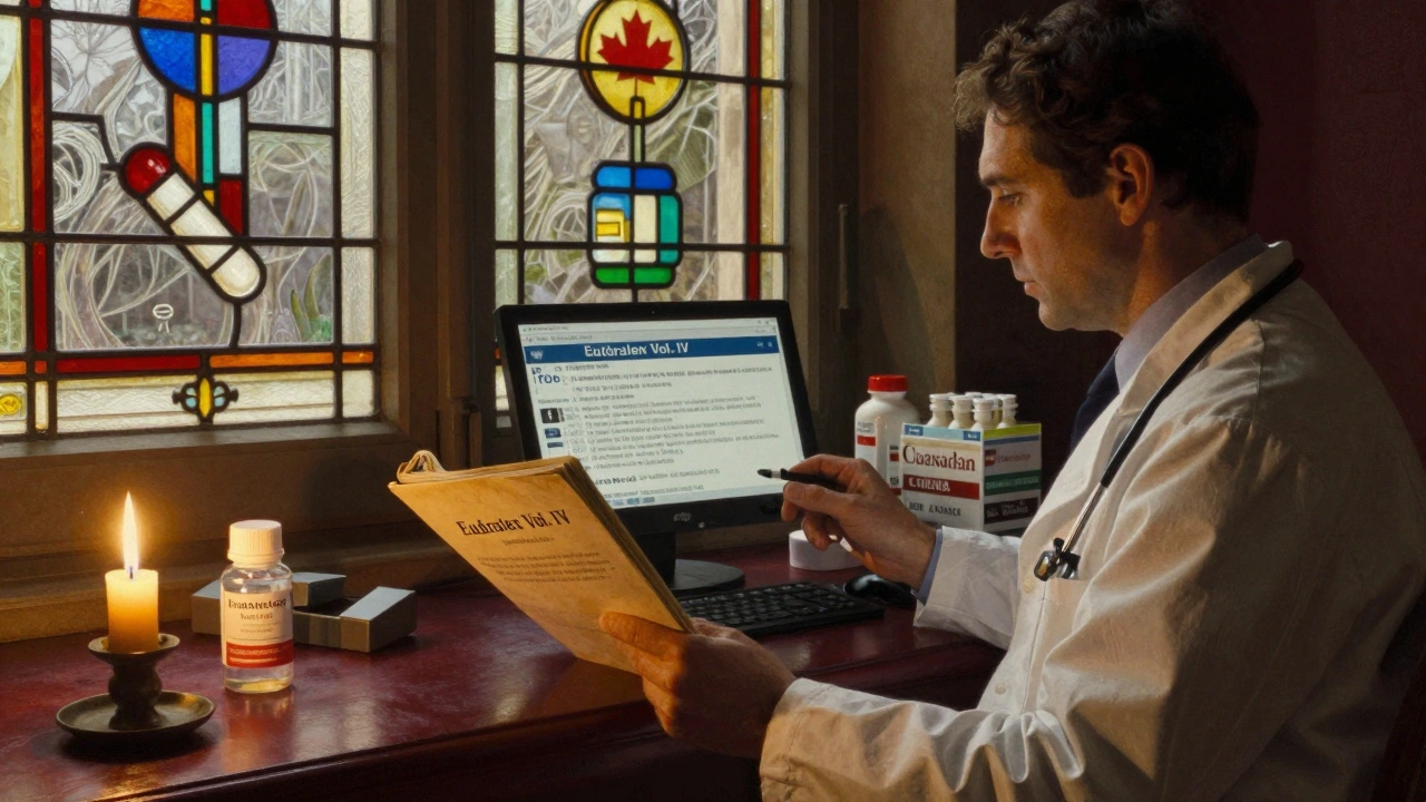 Médecin européen et pharmacien canadien comparant des dossiers de médicaments sous une lumière douce et dorée.